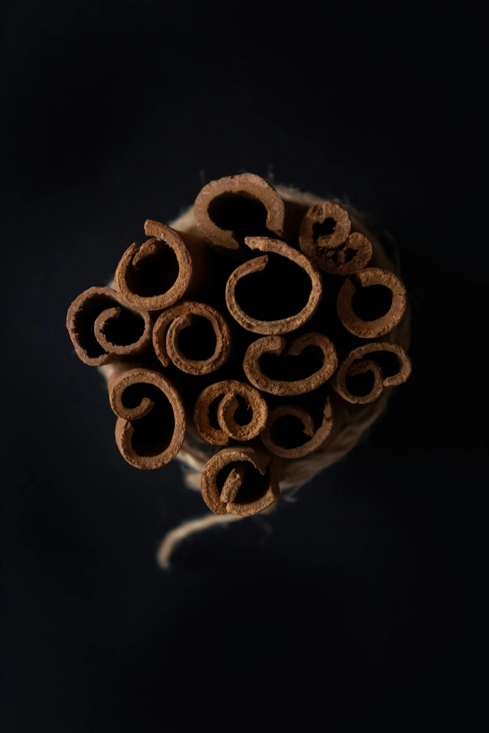 a black background with some brown rings