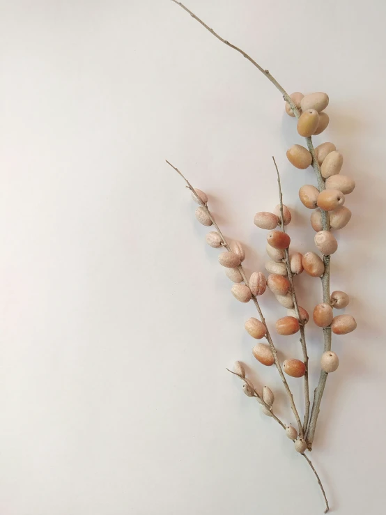 an assortment of small flowers placed on top of a white surface