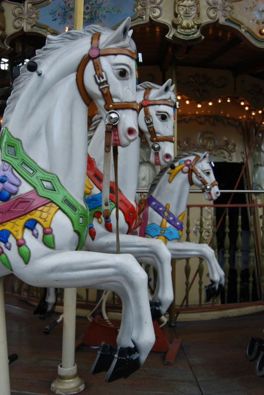 two white horses ride in a merry go round