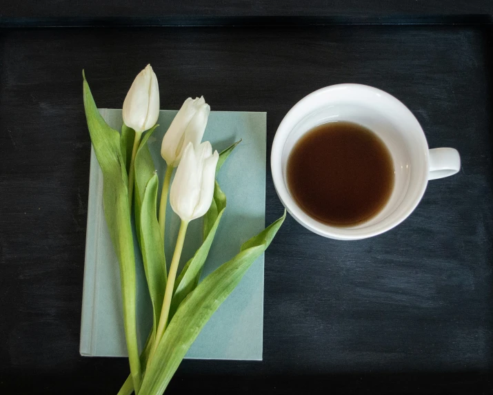 a white flower sitting next to a cup of coffee