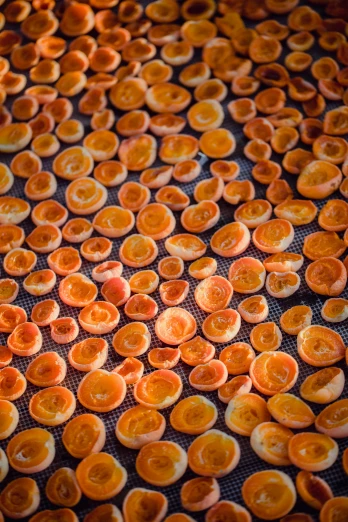 oranges are on a tray covered in baking material