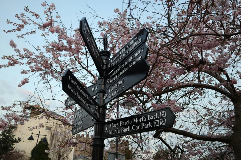 street signs pointing in the direction of several towns