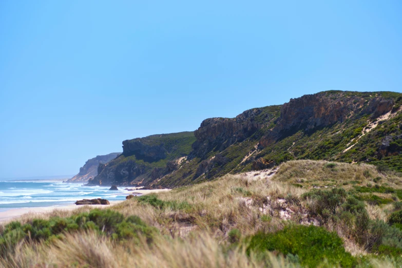 there are some green bushes next to the beach