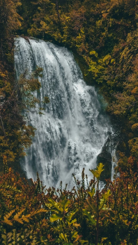 a large waterfall cascading in the middle of foliage