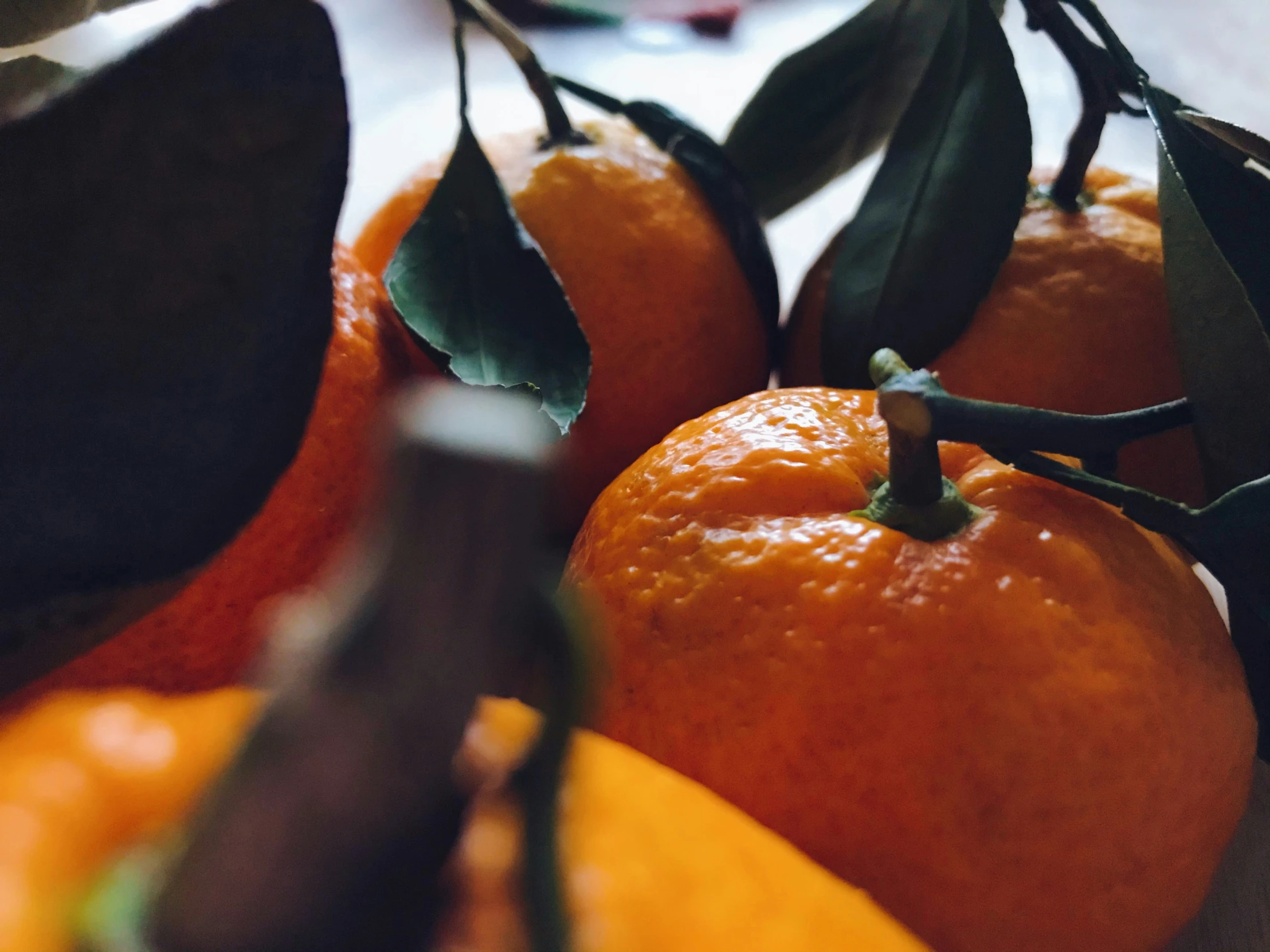 a close up of an orange on a tree