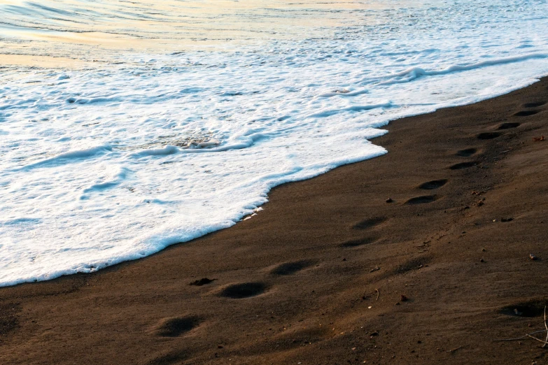 there is a bird walking on the beach with footprints