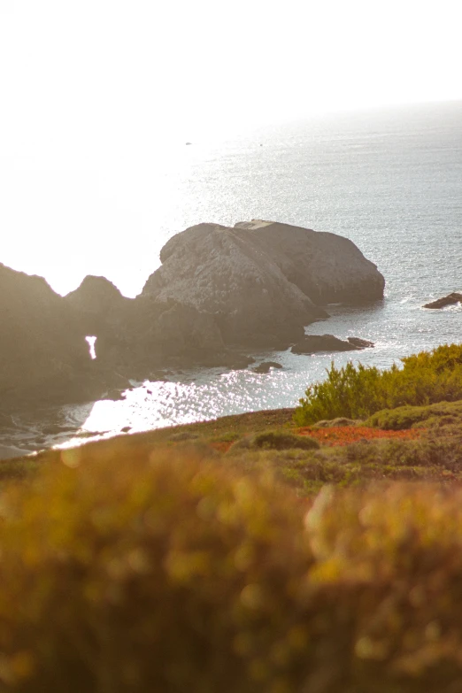 a horse looking out at the ocean next to rocks