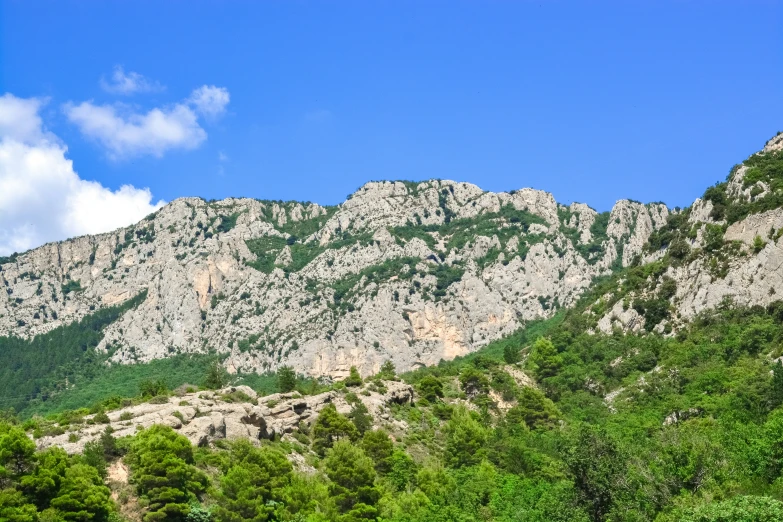 a very tall mountain with trees on both sides