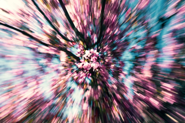 a blurry image of some flowers and trees