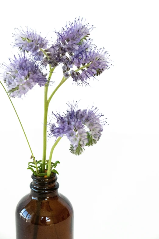 a brown vase with purple flowers in it