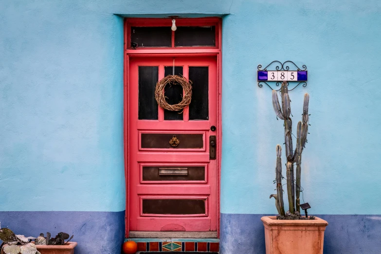 a doorway on a building painted in blue and pink with a small cactus