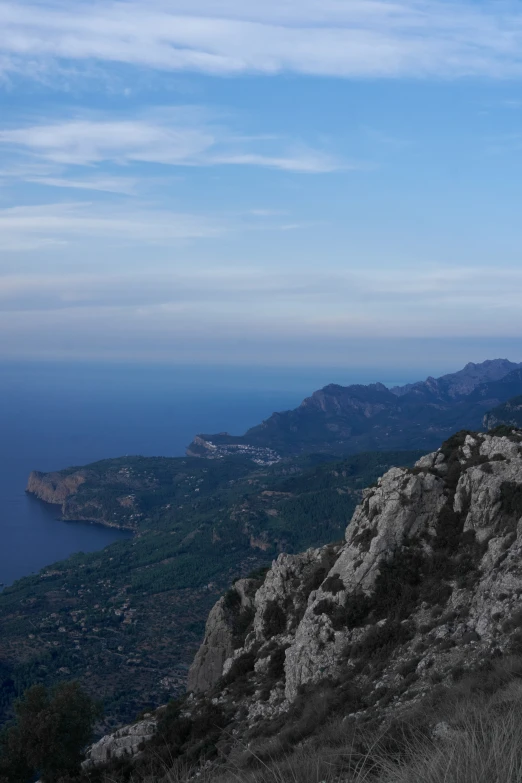 a bird flying high above the hills and sea