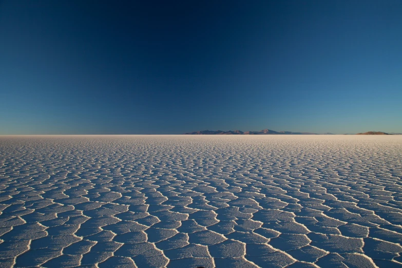 a blue sky and a plain with small, sp trees