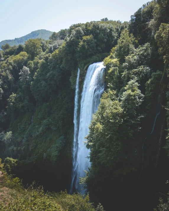 tall waterfall cascading into the river surrounded by lush greenery