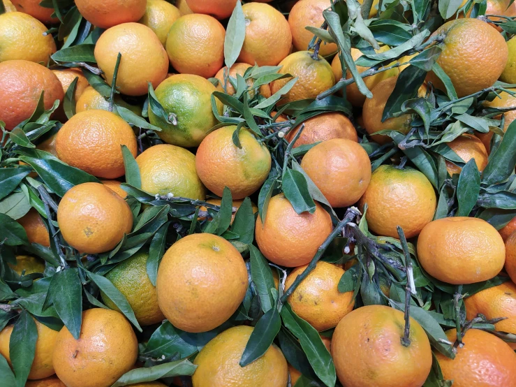 lots of oranges are arranged together for sale