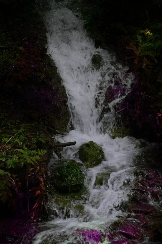 the water flows over rocks in the woods