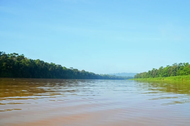 there are trees on either side of the river or river