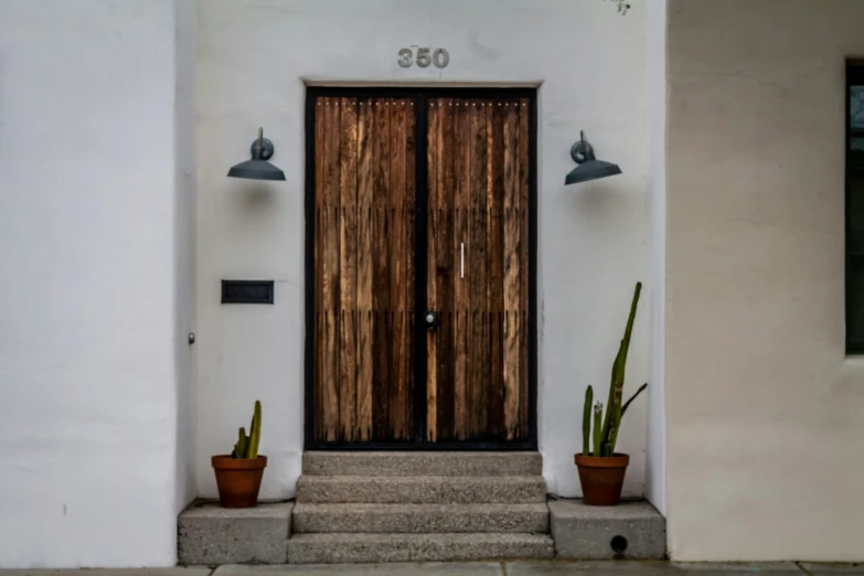 an entrance with a plant by the door