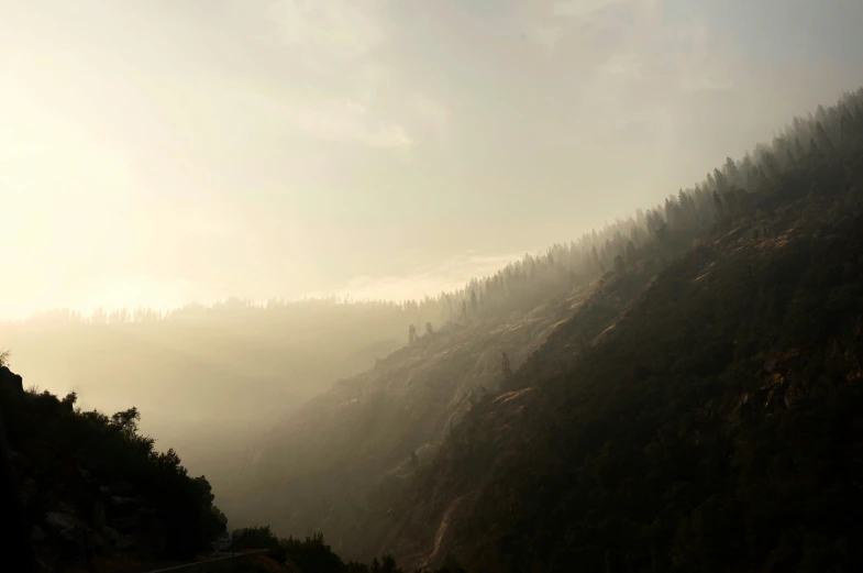 a mountain with a few trees on the top and a foggy background