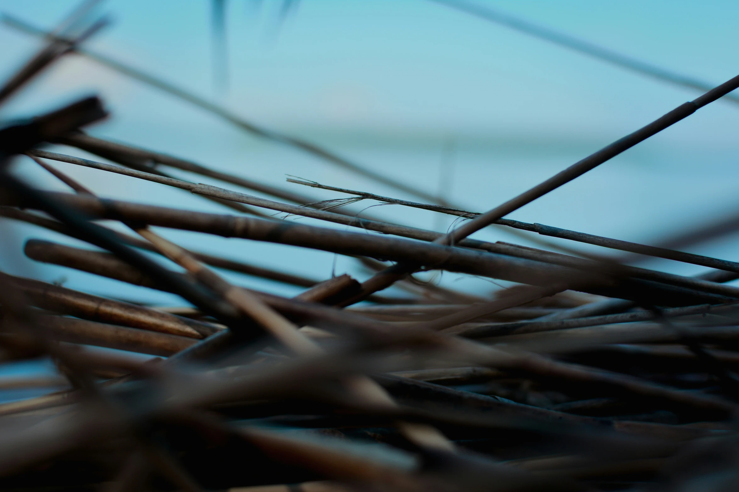 a closeup of sticks and nail nail