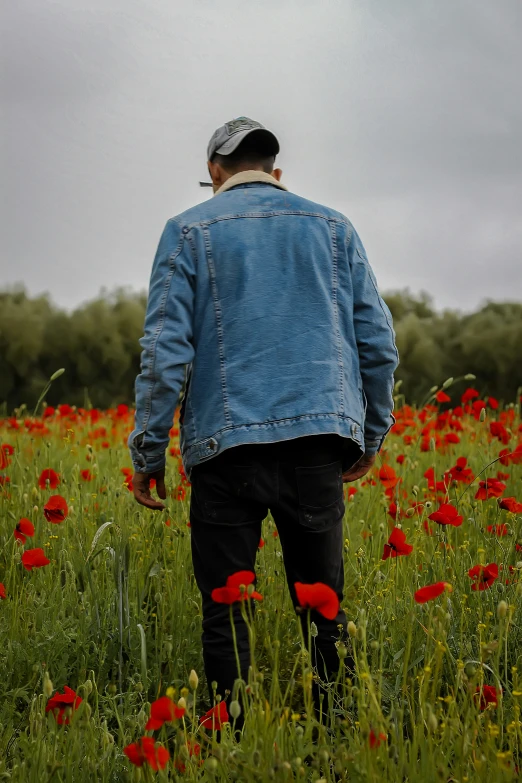 the man is standing in the field of red flowers