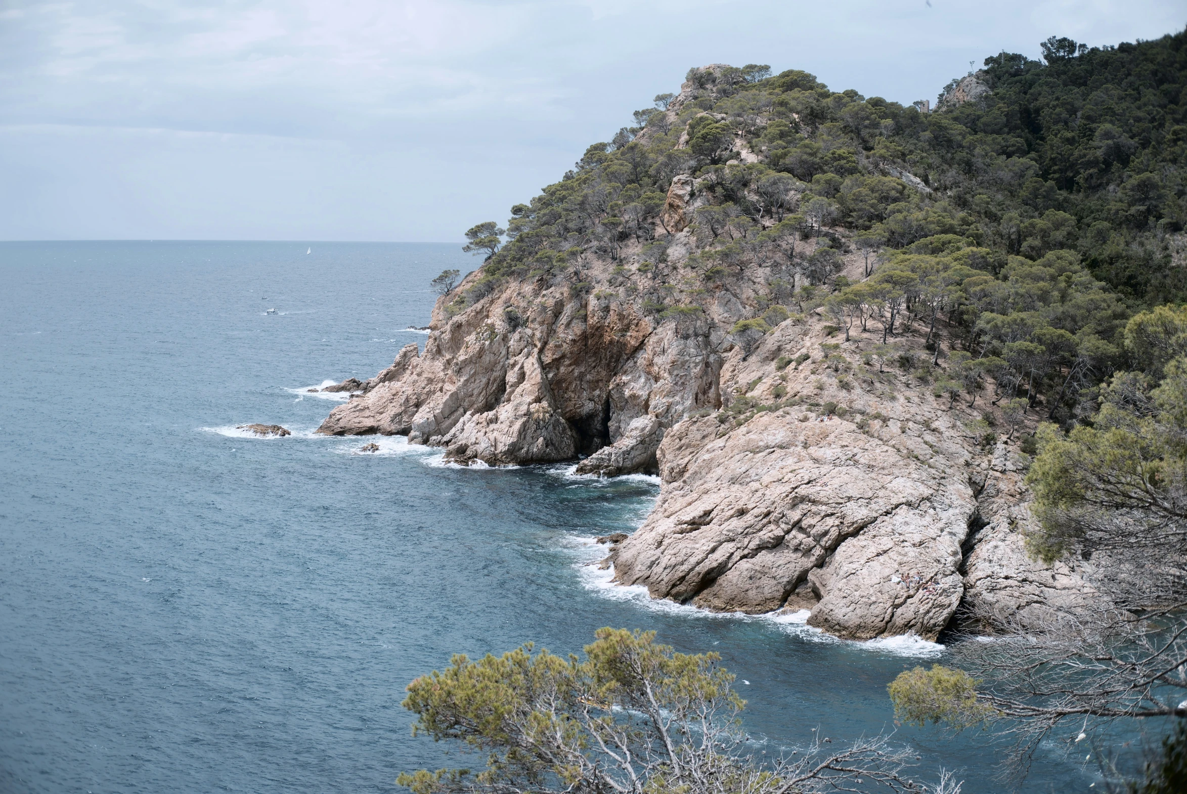 a rock outcropping overlooking a body of water