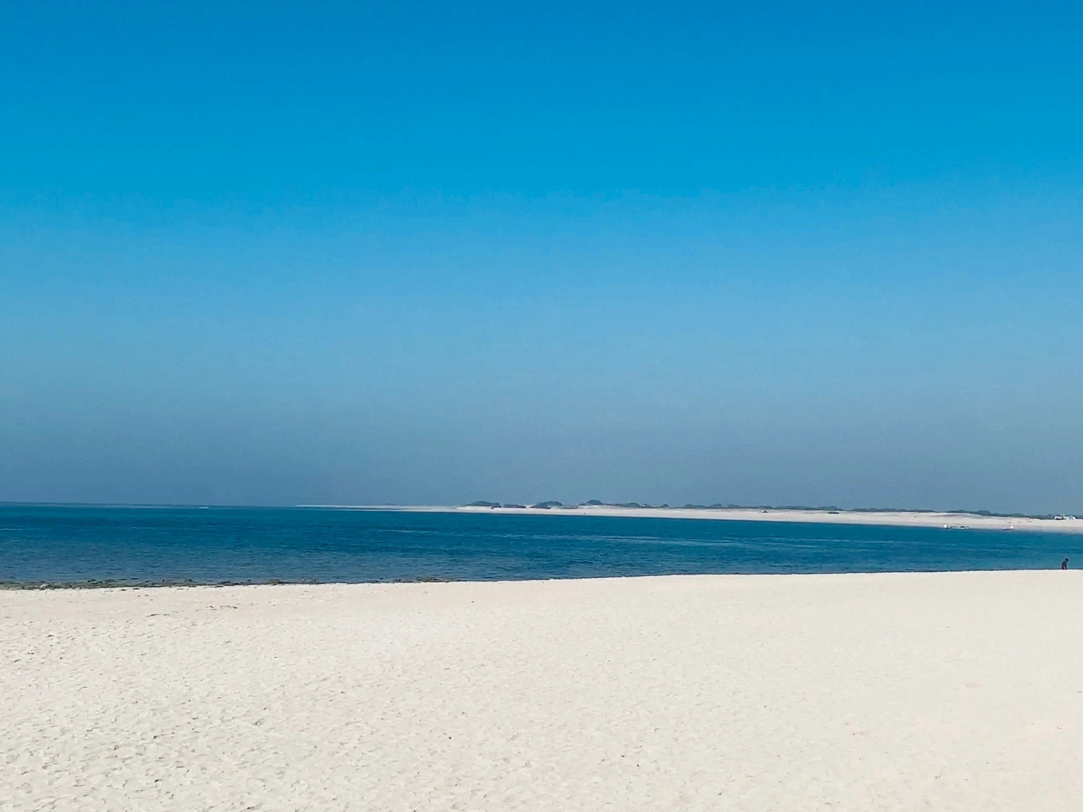 a person with a kite standing on the beach