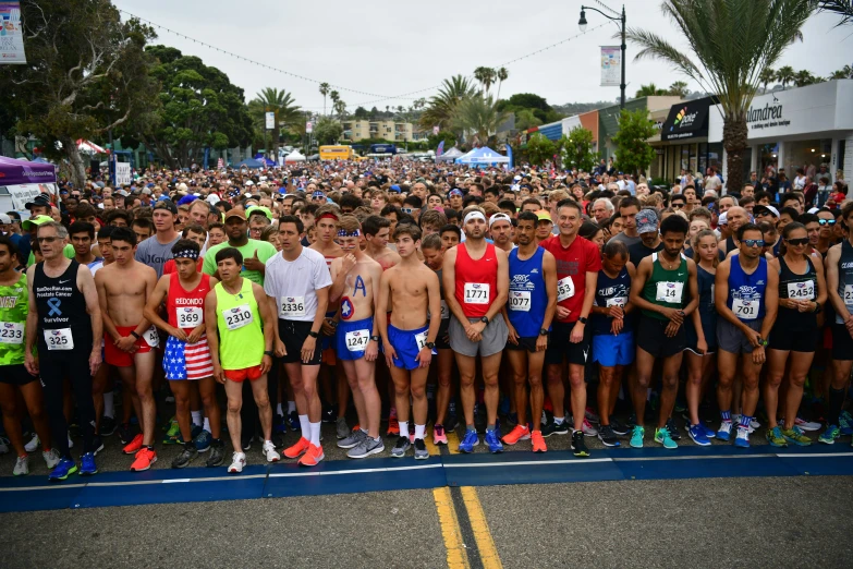 a large group of people standing on a road