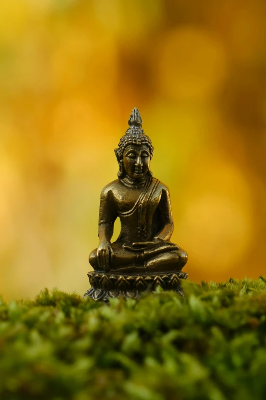 a statue of buddha on mossy ground