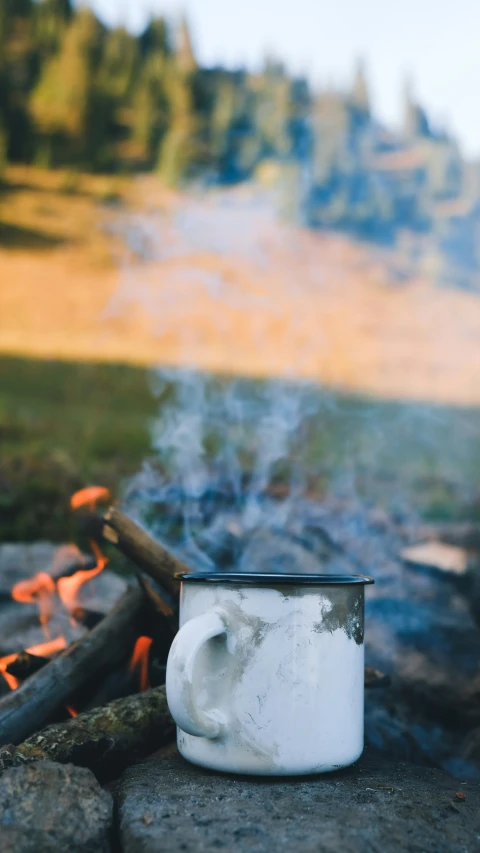 a cup on the ground with a bunch of logs behind it