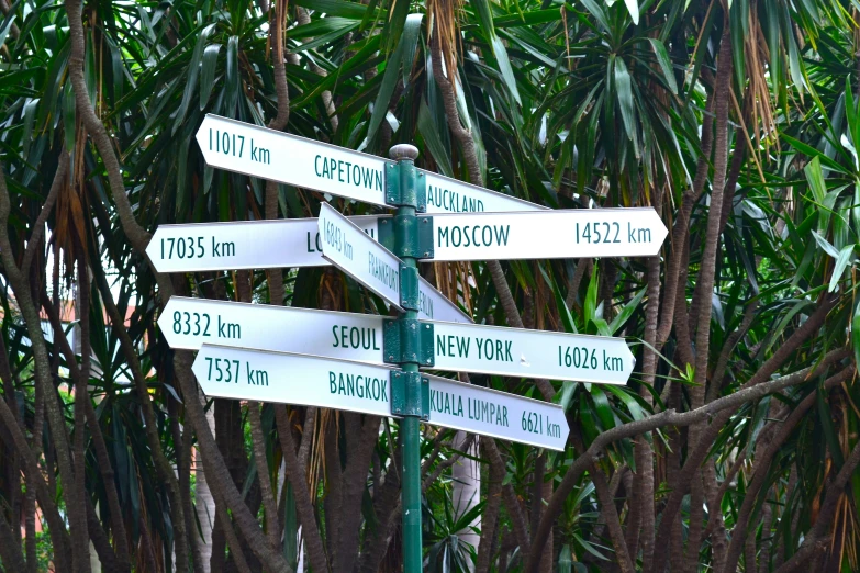 several signs with white lettering and green leaves on them