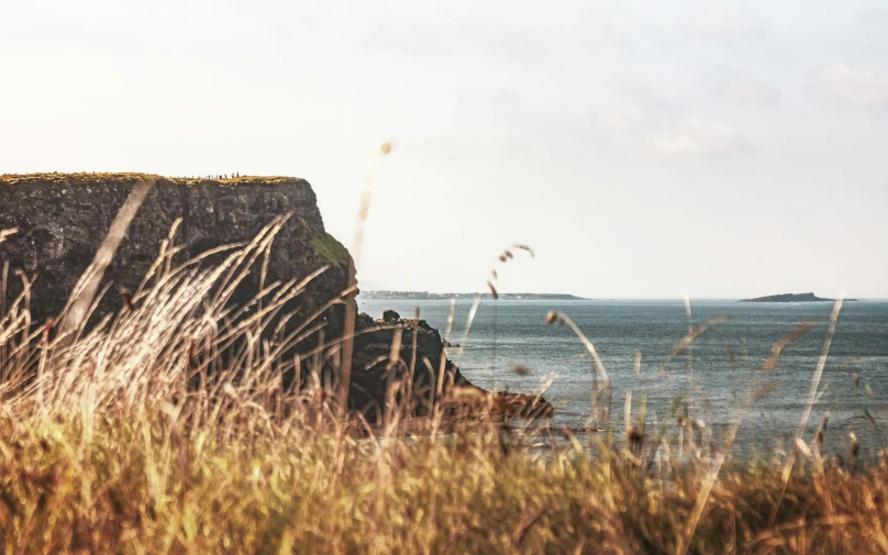 some green grass and a rock cliff by the water