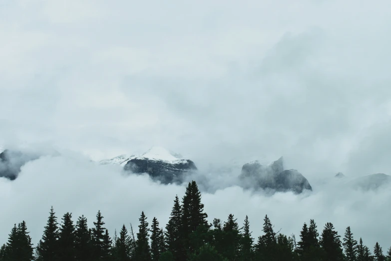 the clouds are covering the trees on a gloomy day