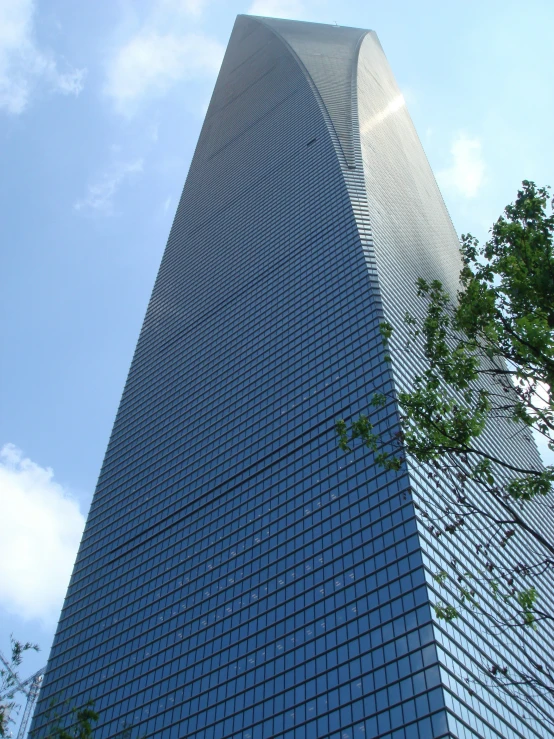 a tall glass building with a green tree in the foreground