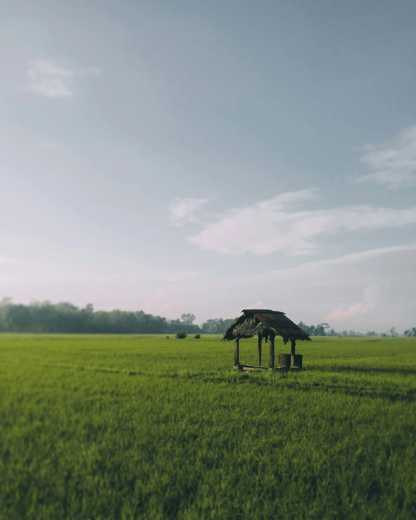 an open grassy field that is sitting under a blue cloudy sky