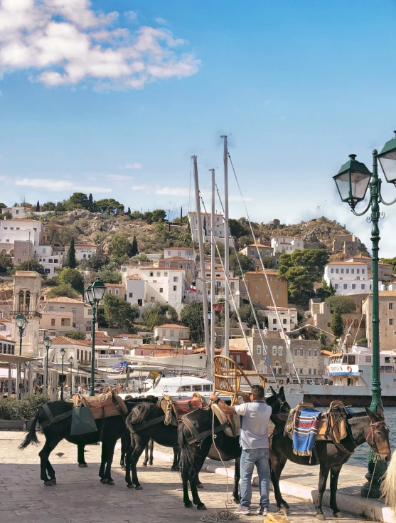 some horses walking around a city next to a light post