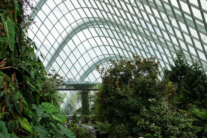 a very large building with some very long plants