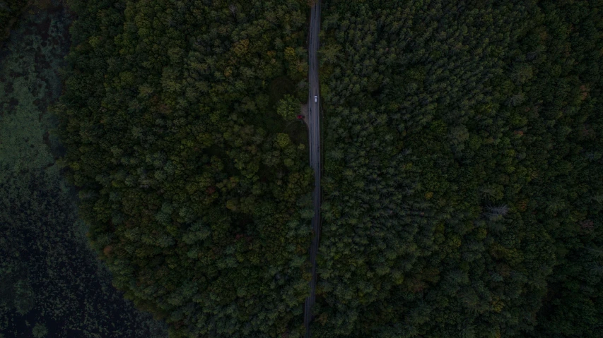 an aerial view of a road winding through some trees