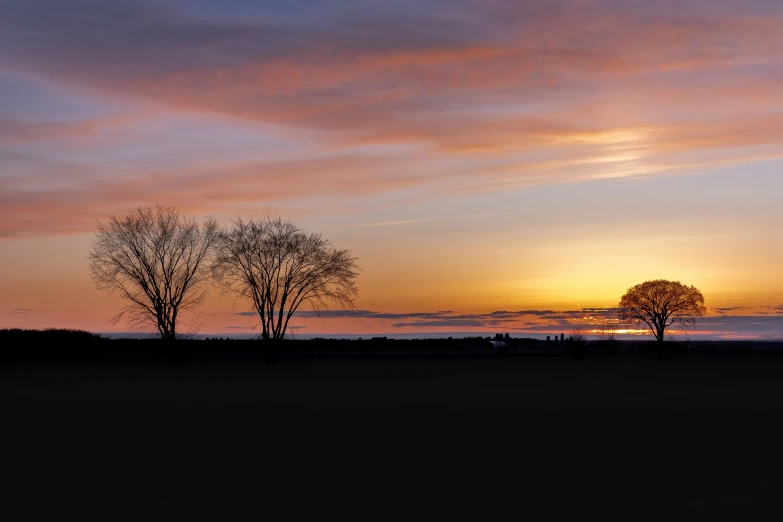 the sun rises over three bare tree tops