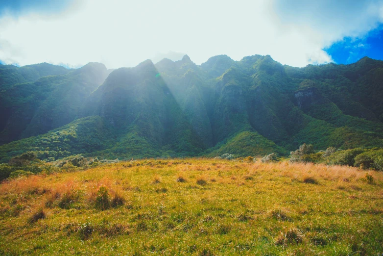 a grassy hill side with mountains in the background