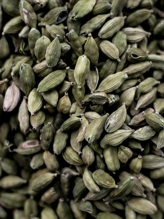 a pile of green seed on a wooden table