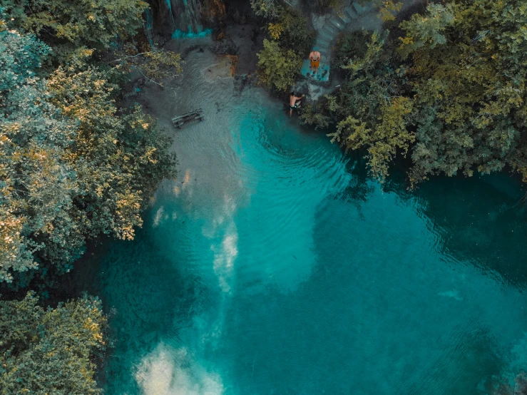 a small river flowing through a lush green forest