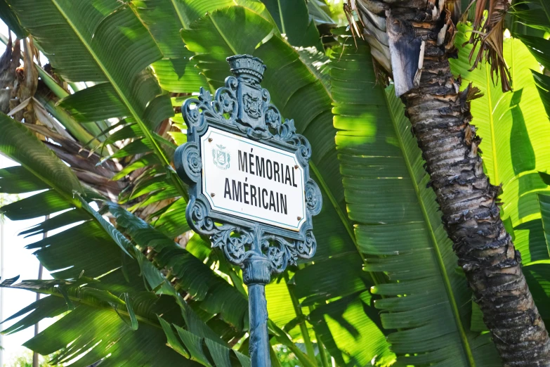 there is a street sign in the middle of some trees