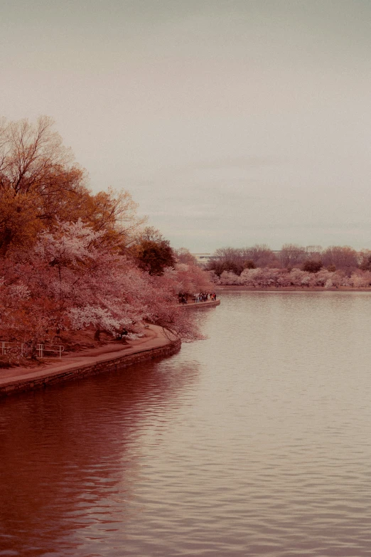 the view of a lake and park with some people standing in it