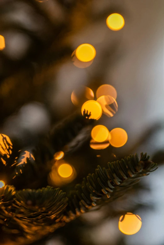 christmas lights are on top of a tree