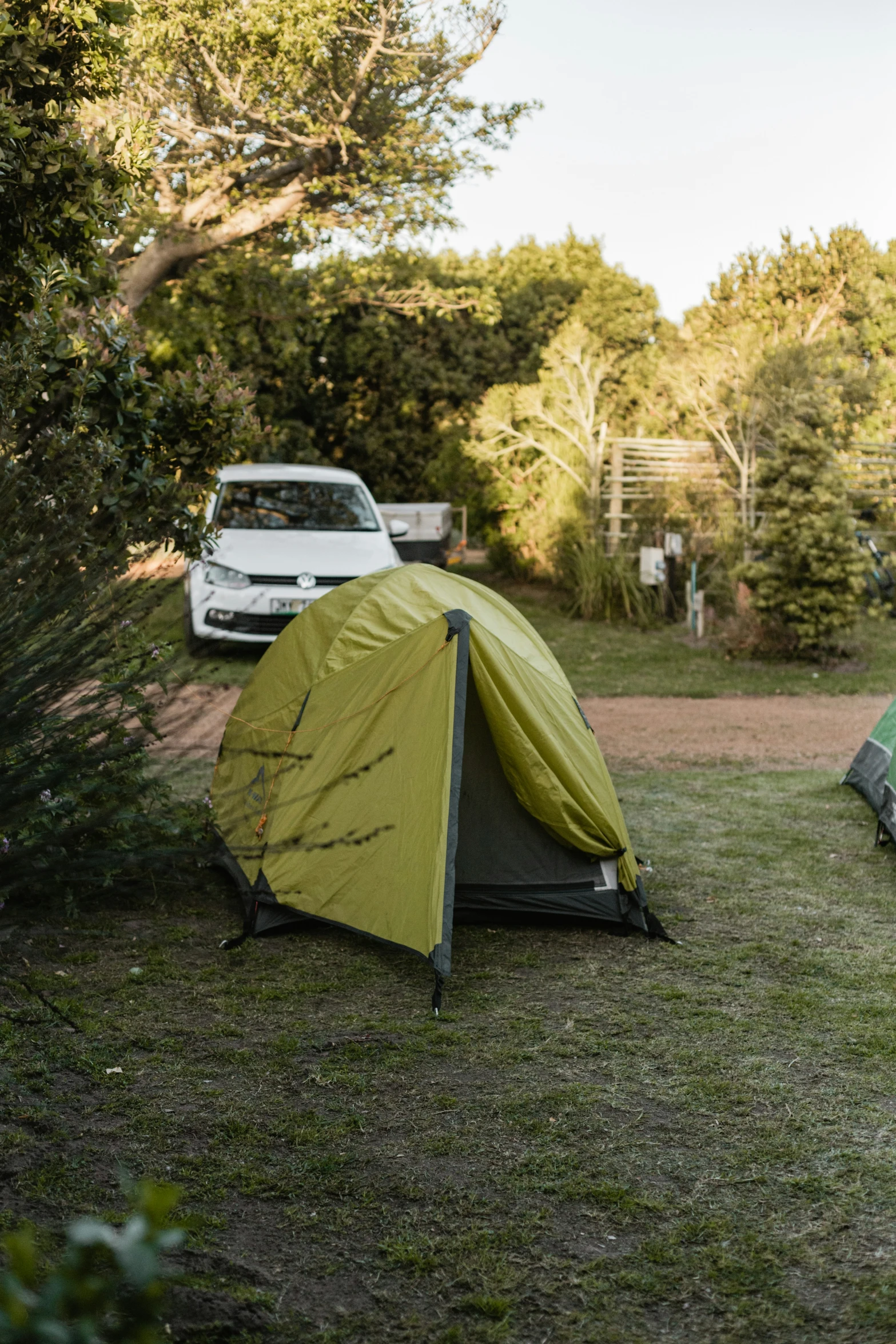 a tent in the grass near trees with some cars