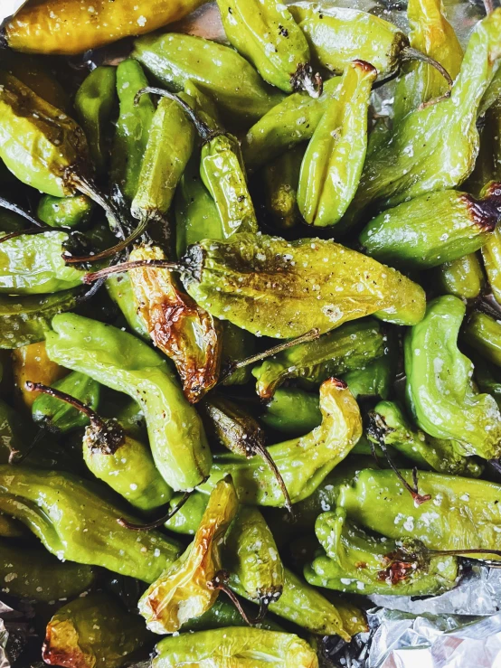 a bowl full of fried jalapenos sitting on tin foil