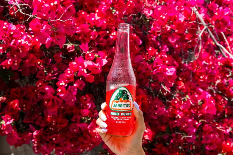 a person holding up a bottle of soda near some flowers
