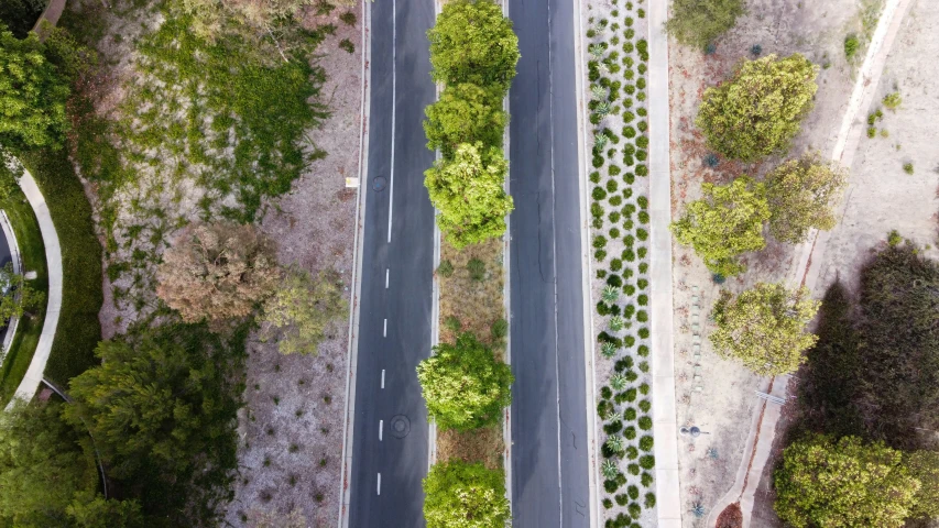 an overhead view of a street with trees lining it