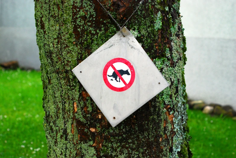 a sign on a tree is that no cats allowed